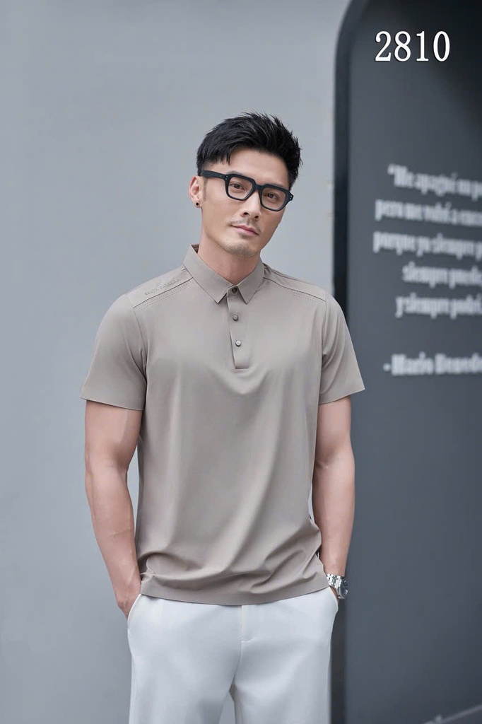 Áo Polo Nam Cao Cấp – Thiết Kế Tinh Tế & Lịch Lãm-2810