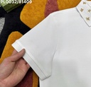 Áo polo nam cao cấp -PL0032 
