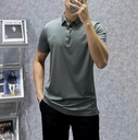 Áo Polo Nam Cao Cấp - Phong Cách Thanh Lịch & Hiện Đại-6221
