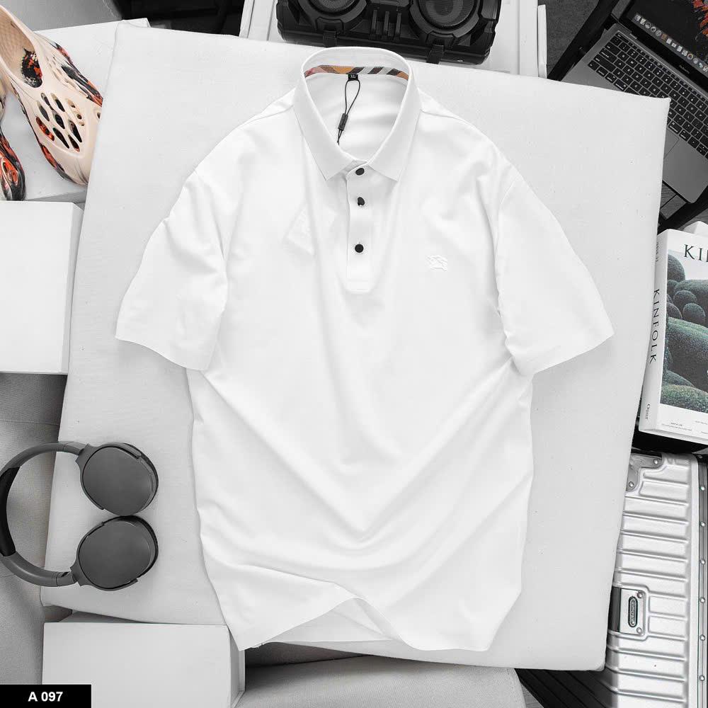 Polo bbr hàng QCCC Chất thun lạnh mềm mát-A097